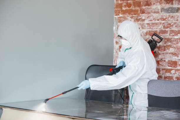 Best Biohazard Mold Removal  in USA